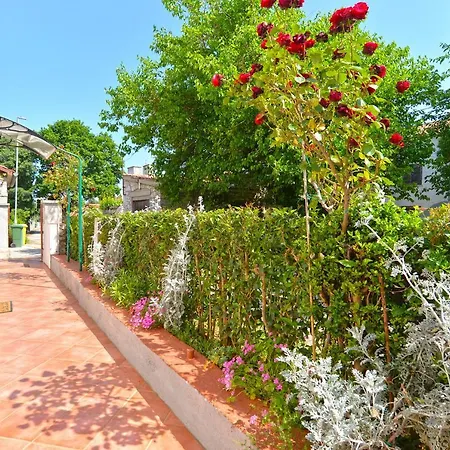 Διαμέρισμα Danica 358 *